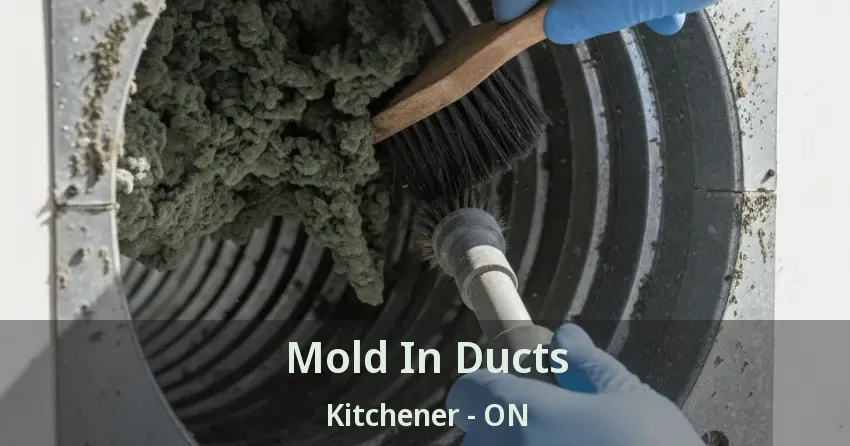 Mold In Ducts Kitchener - ON